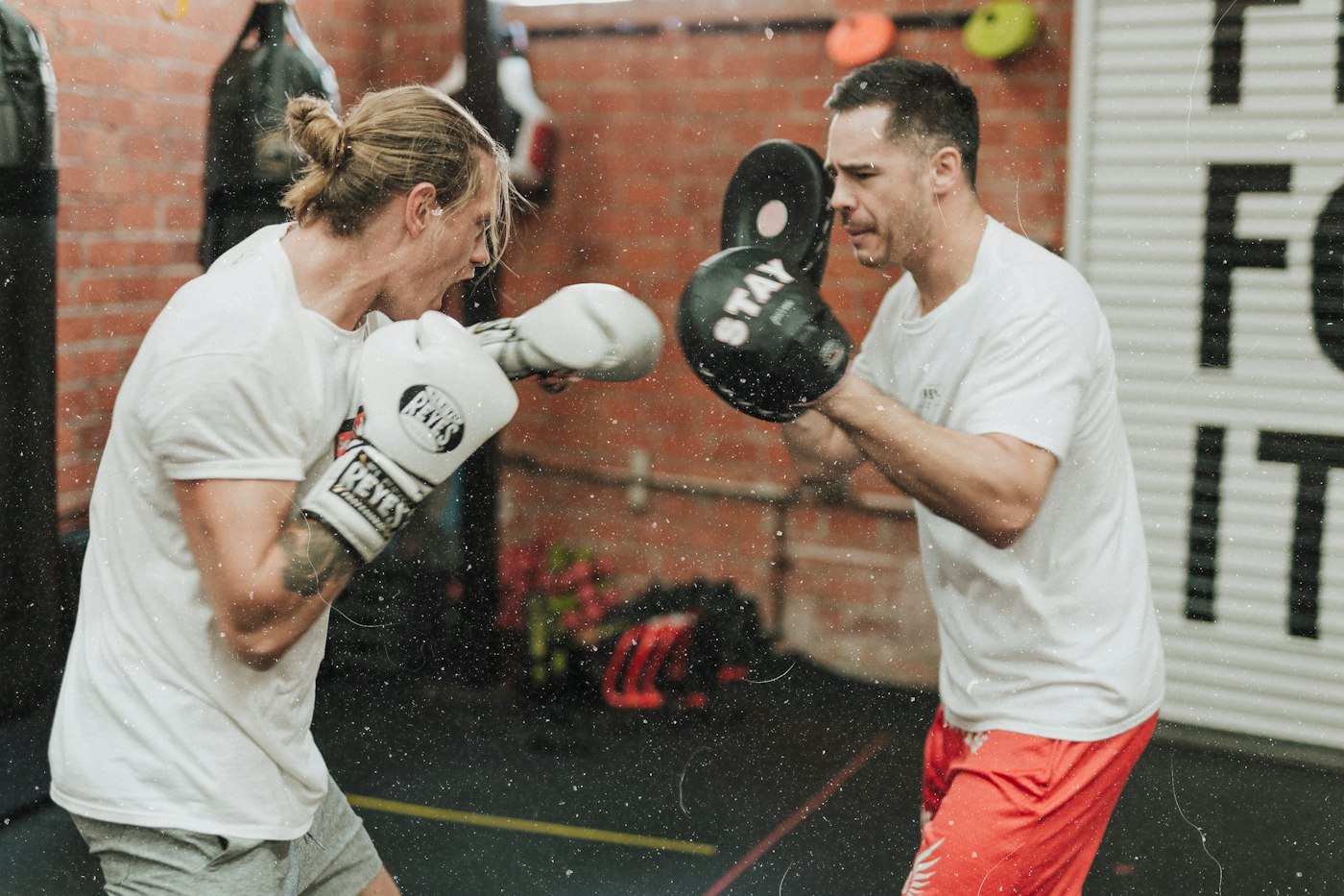 Elite Sparring Gloves